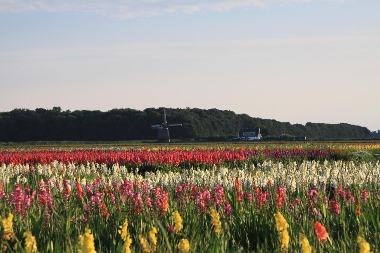 Landgoed Swaensborgh Lägenhet Oudesluis  Exteriör bild