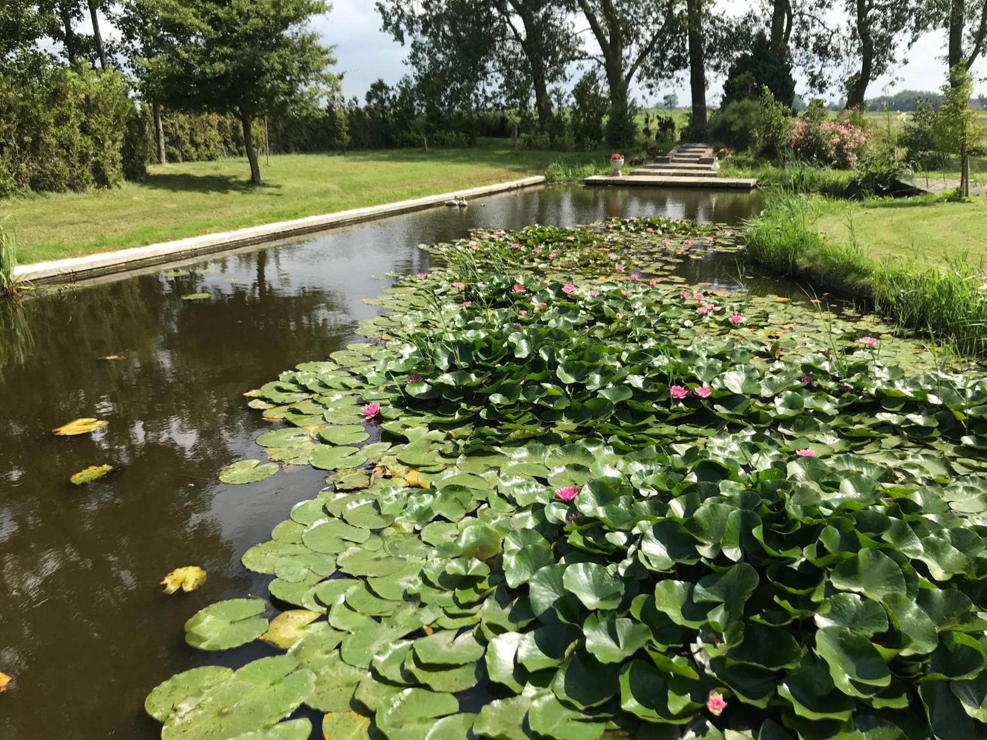 Landgoed Swaensborgh Lägenhet Oudesluis  Exteriör bild